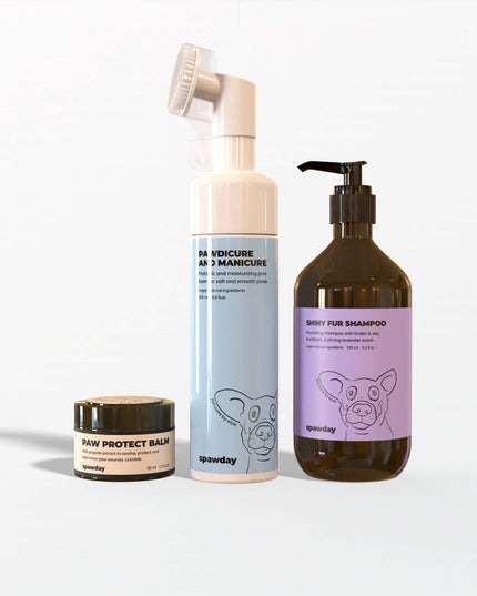 Weekly Routine - Wash and Care Kit