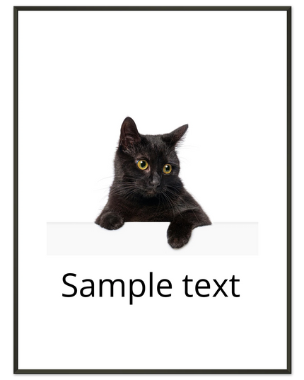 a729d05d-5e6c-4320-8f71-6b0bbf850548