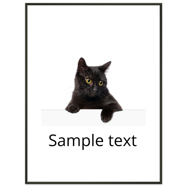 a729d05d-5e6c-4320-8f71-6b0bbf850548