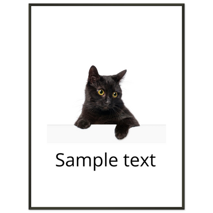 a729d05d-5e6c-4320-8f71-6b0bbf850548
