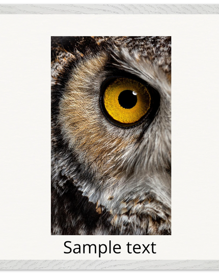 a72b8973-400e-4395-bc82-de63f9b58cd3