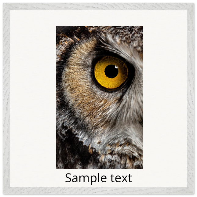 a72b8973-400e-4395-bc82-de63f9b58cd3