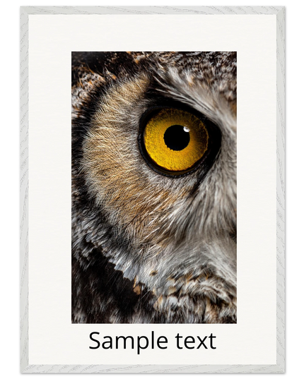 a7a59750-b19a-4775-9f37-022c9c1716fa