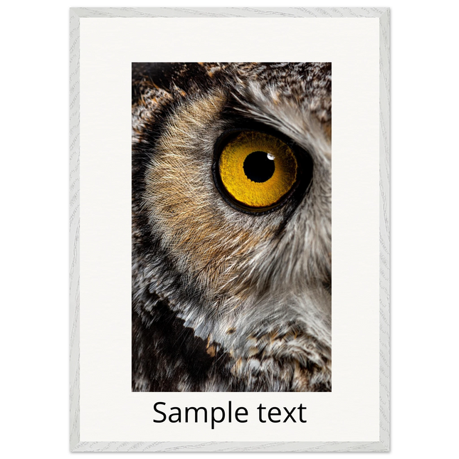 a7a59750-b19a-4775-9f37-022c9c1716fa