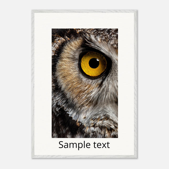 b85fd5a9-f6b6-48f2-b04e-ed9b3f949743