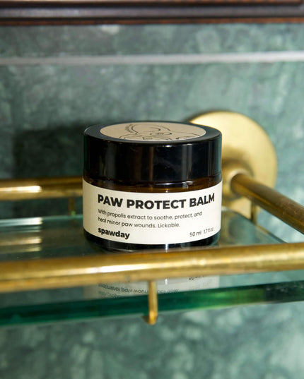 Elvis Spaw Kit - Den kompletta hundvårdsritualen