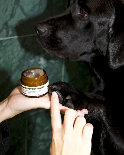 Paw Protect Balm 2 pack - For Dry Paws and Noses