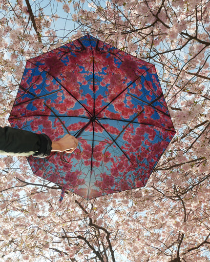 Körsbärsblomsparaply – Elegans, vindtätt och solskyddsfaktor 50+