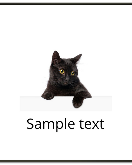 e8705210-2077-4834-ba02-b3a6452a6386