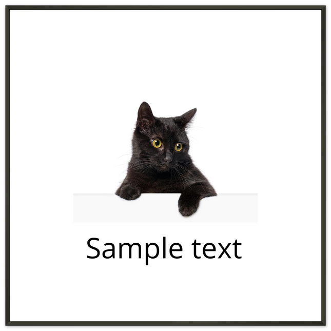 e8705210-2077-4834-ba02-b3a6452a6386