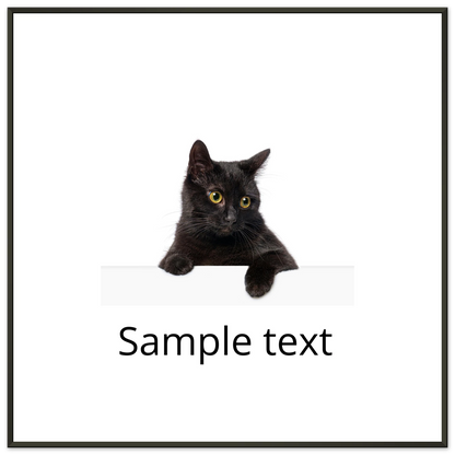 e8705210-2077-4834-ba02-b3a6452a6386
