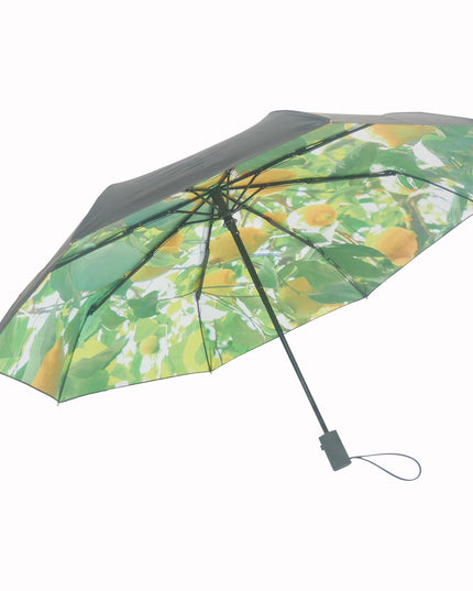 Paraply Kollektion från HAPPYSWEEDS – Stil & Funktion