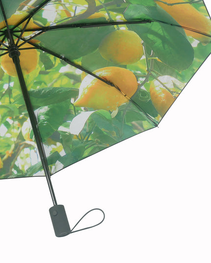 Citronparaply – Vindtät och UPF50+