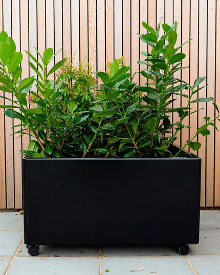 Odlingslåda - VÄXA - KUB (800x800mm)