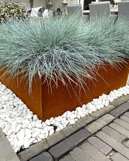 Odlingslåda - VÄXA - KUB (800x800mm) Corten